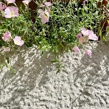 Daire Vacanze Romane Acilia